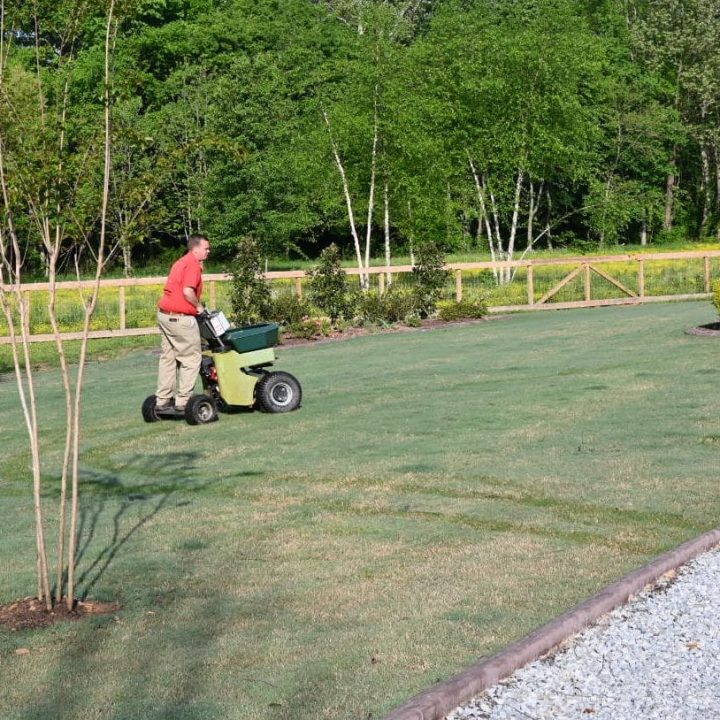 Turf treatment in North Alabama and Southern Tennessee by United Pest & Turf Control